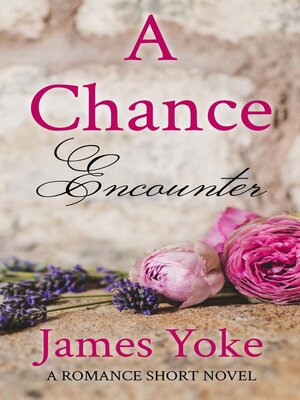 cover image of A Chance Encounter